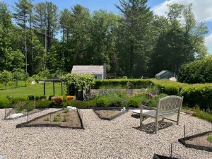 our herb garden